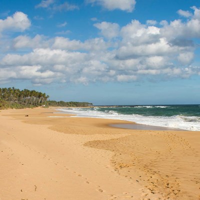 The best of South Coast Sri Lanka
